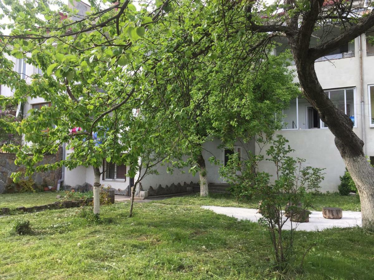 Квартира-Студия В Стиле Шале Truskavec Exteriér fotografie