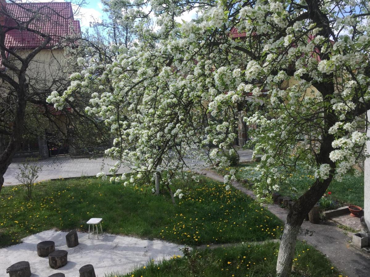 Квартира-Студия В Стиле Шале Truskavec Exteriér fotografie
